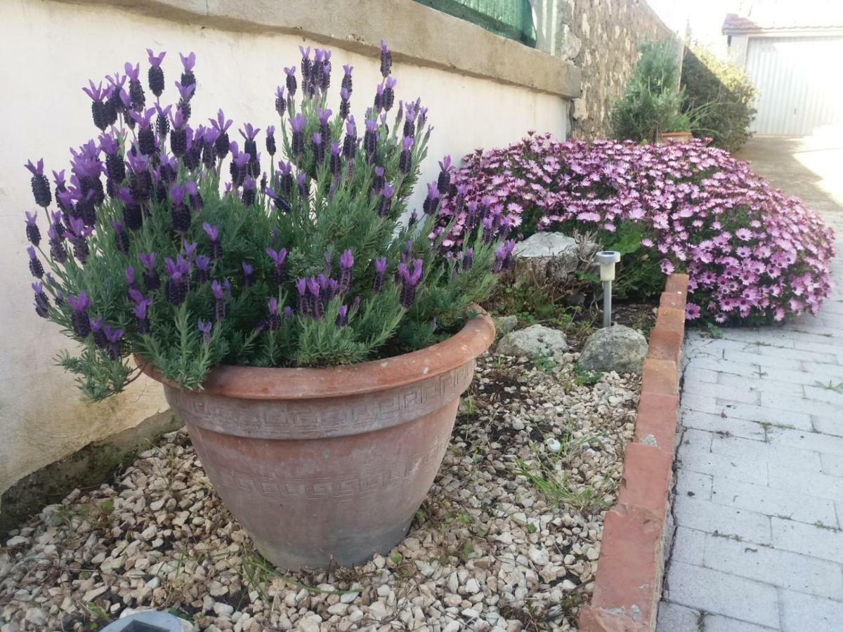Il Vaso Di Creta Bed & Breakfast Ragusa Exterior photo
